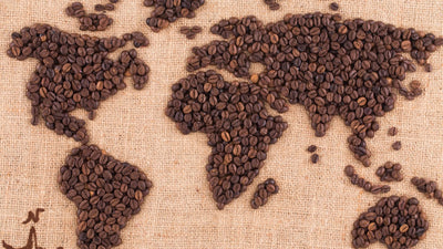 Where Did Coffee Come From? A Brief History of Our Favorite Drink