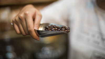 Beyond the Roast: Selecting the Best Specialty Coffee Beans