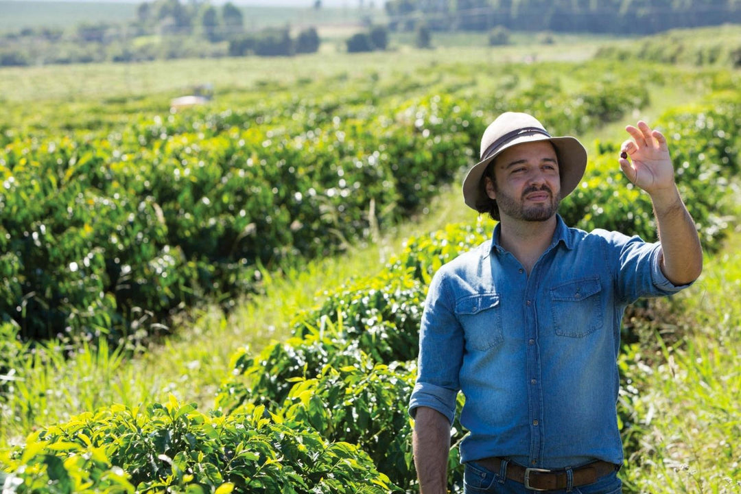 Fully traceable Brazilian coffee