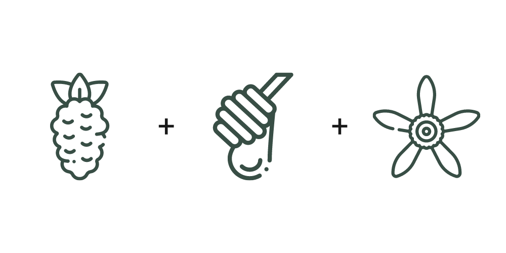 Tasting notes of Ethiopia Shanta Golba Natural coffee beans