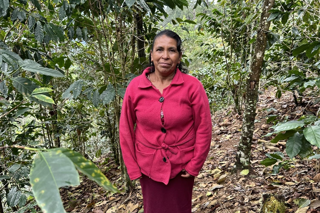 Member of the Sierra Azul Coop