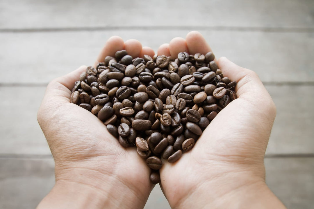 Specialty roasted coffee