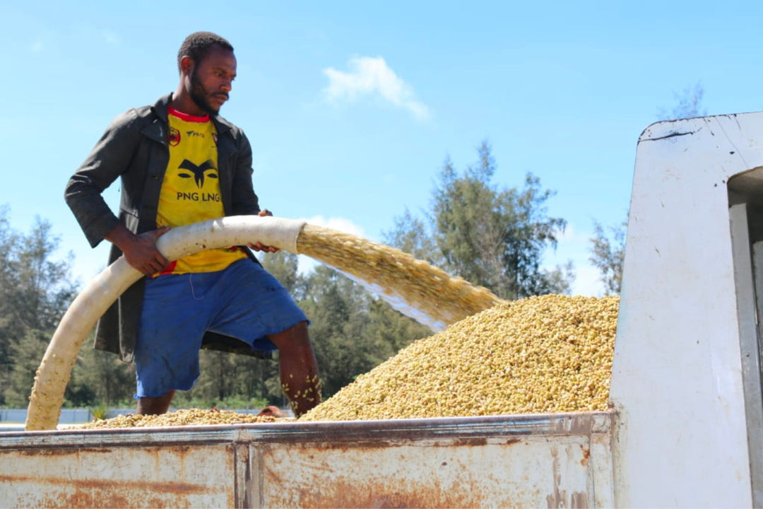Coffee producer in Papua New Guinea