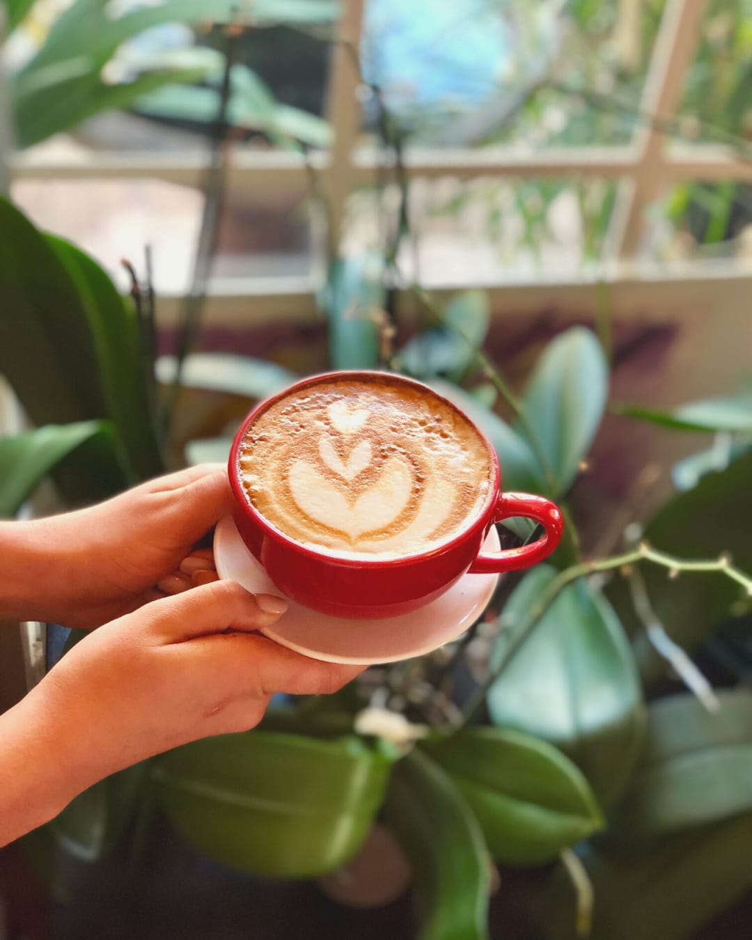 Specialty Coffee Shop in Naples, Florida