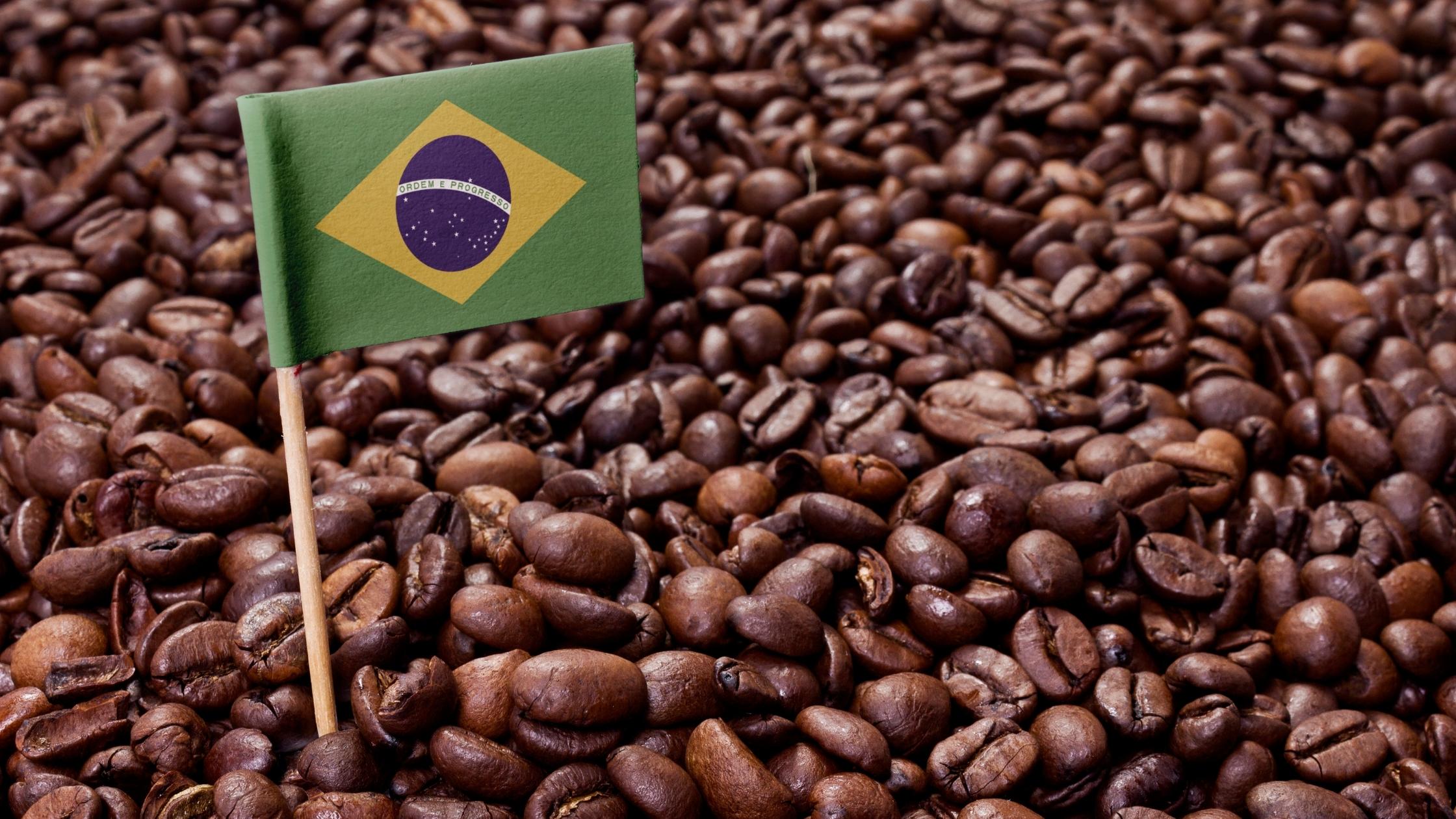 Arabica Coffee, Brazilian Coffee