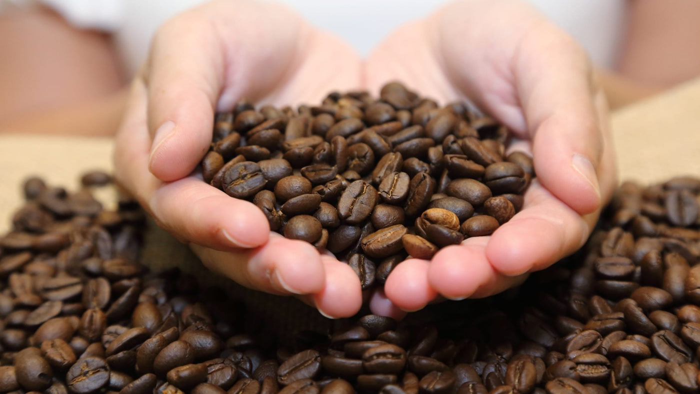 The Relationship of Flavor and the Roasting of Coffee Beans