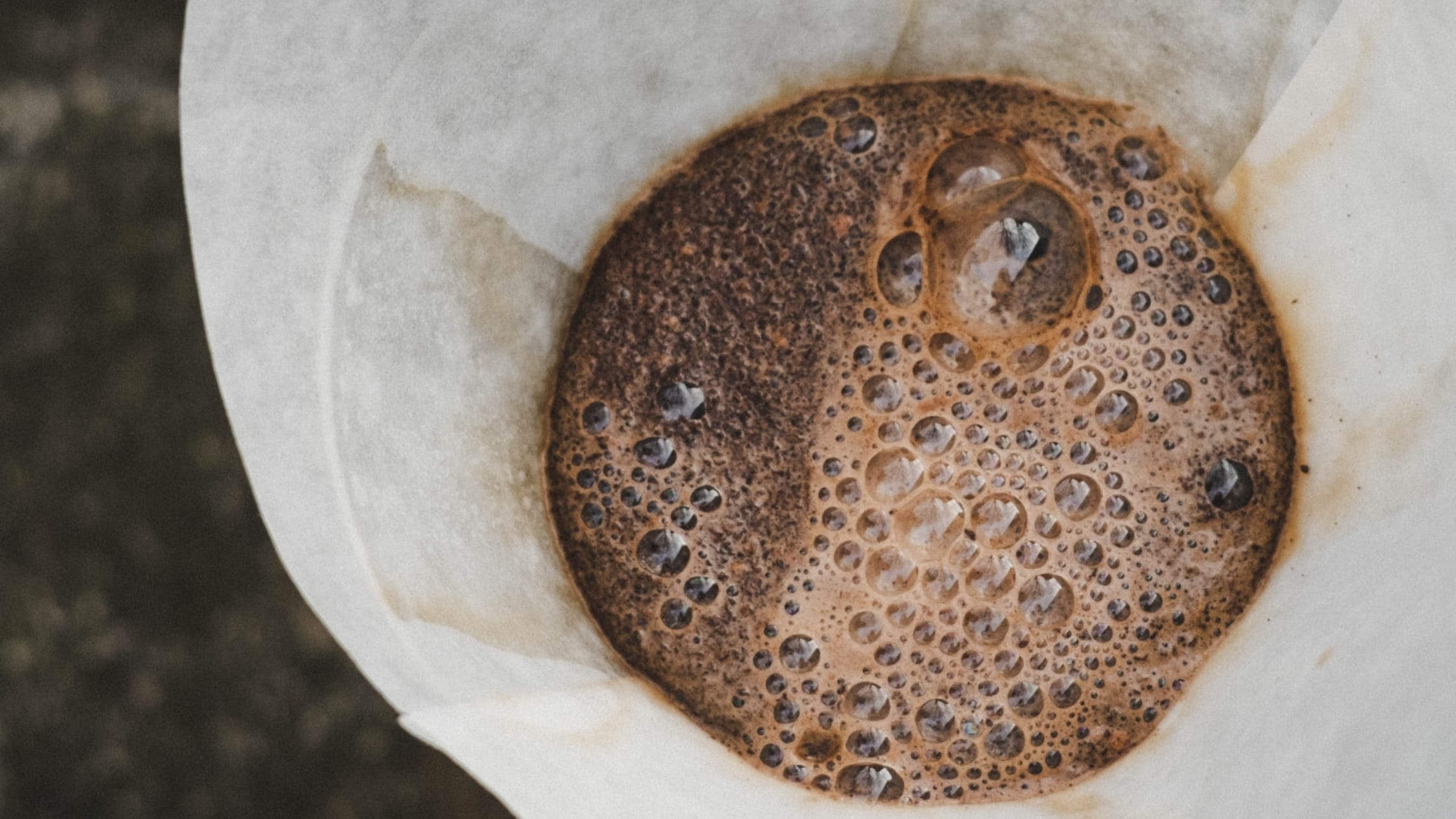 Fresh coffee blooming