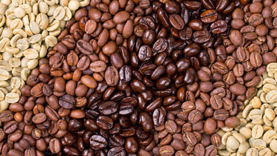 Surprising Differences of Medium and Dark Roast Coffees
