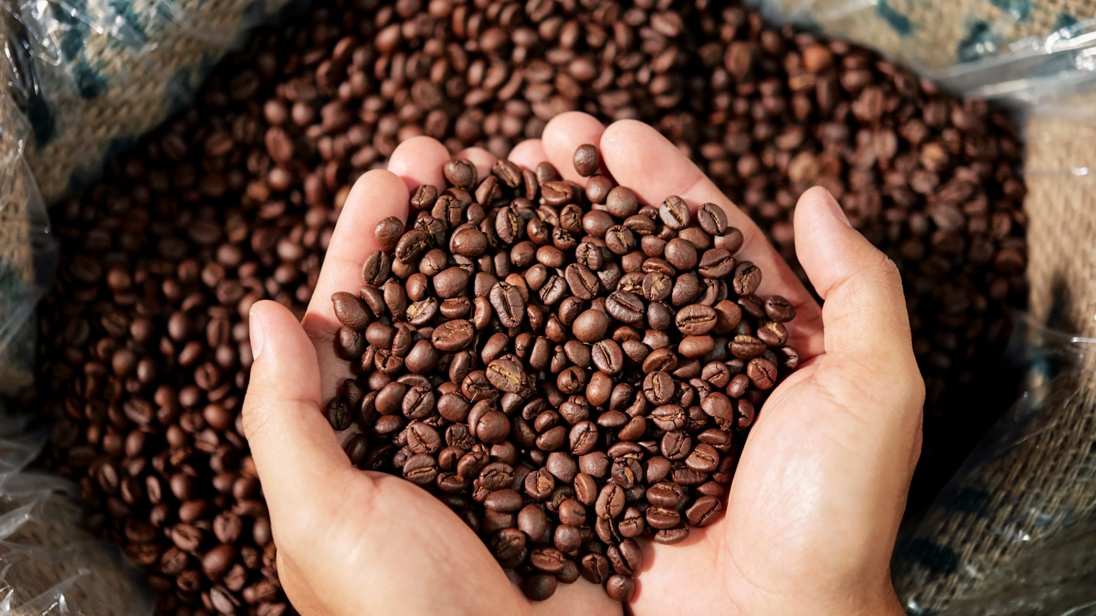 Resting Coffee After Roasting