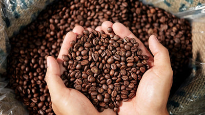 Is Rest Best? How Long Should Coffee Rest After Roasting?