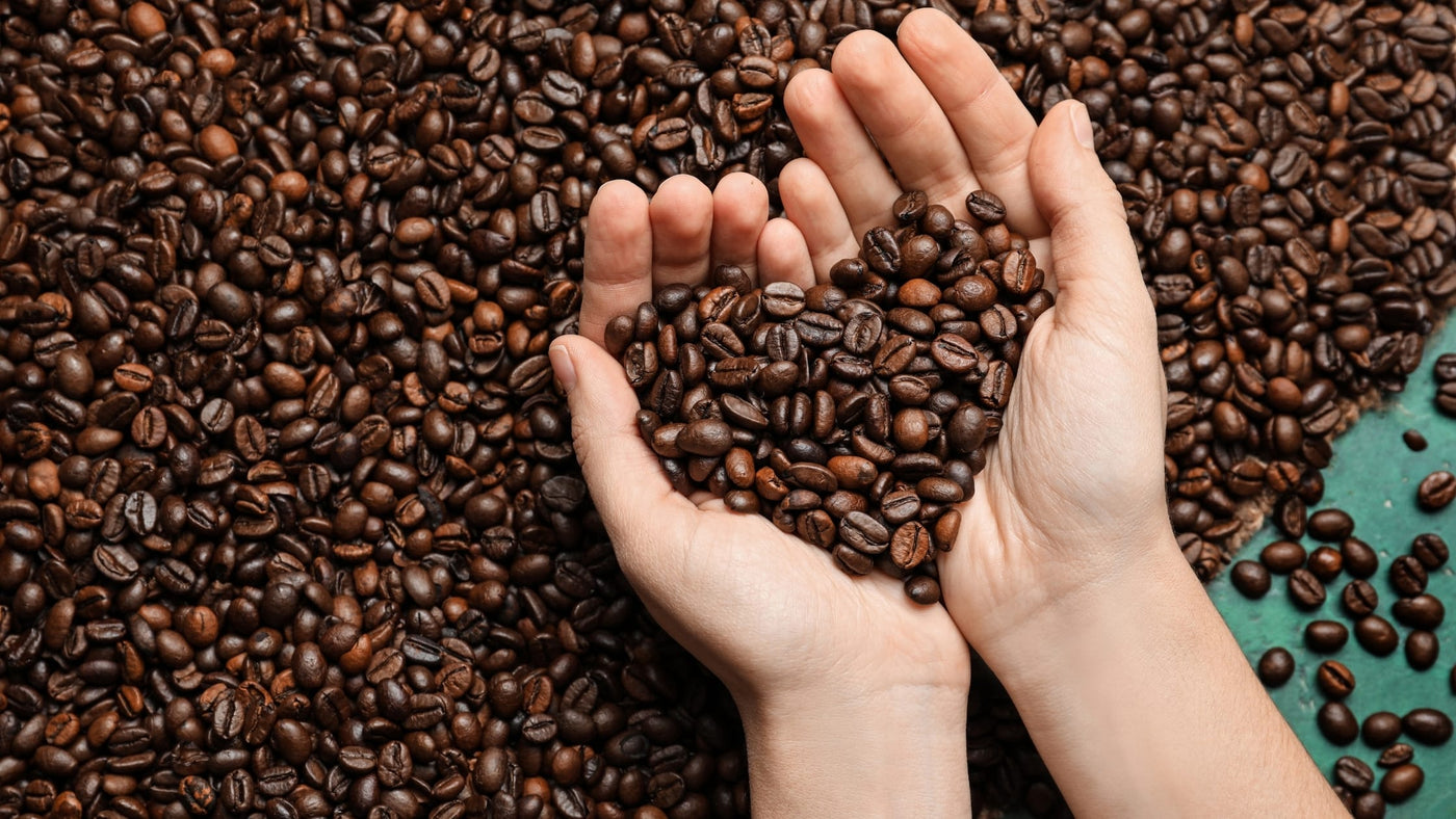 Small-Batch Coffee Roasting is Better
