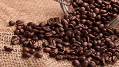 Coffee Storage 101: What Affects Your Coffee’s Freshness?