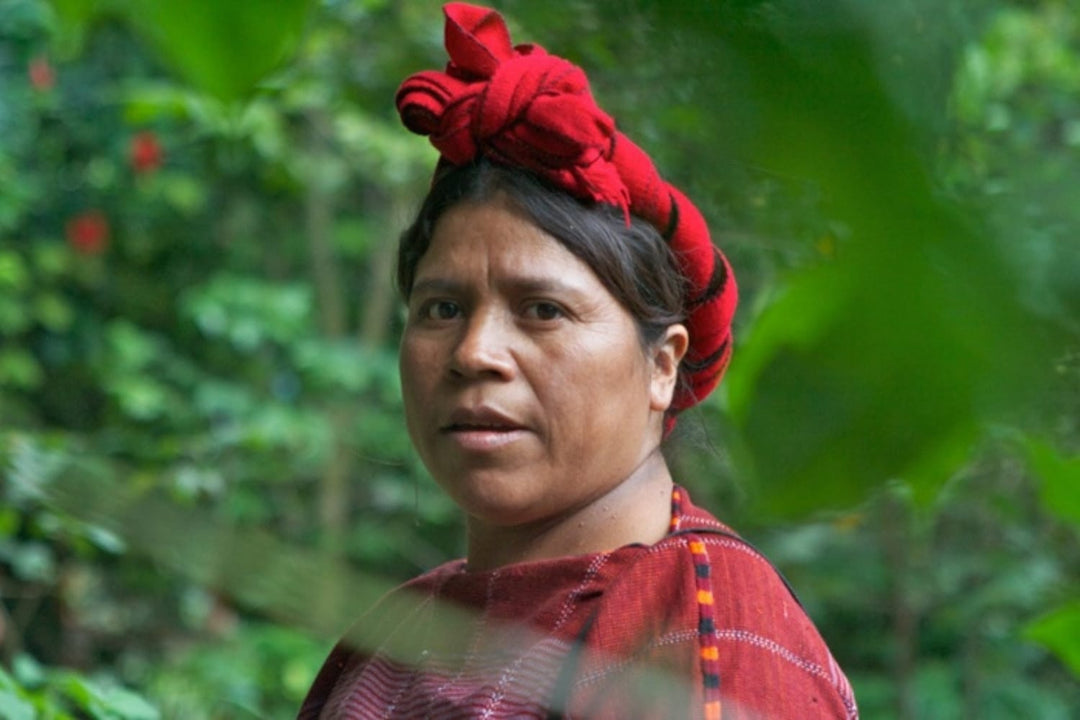 Guatemala Manos de Mujer coffee