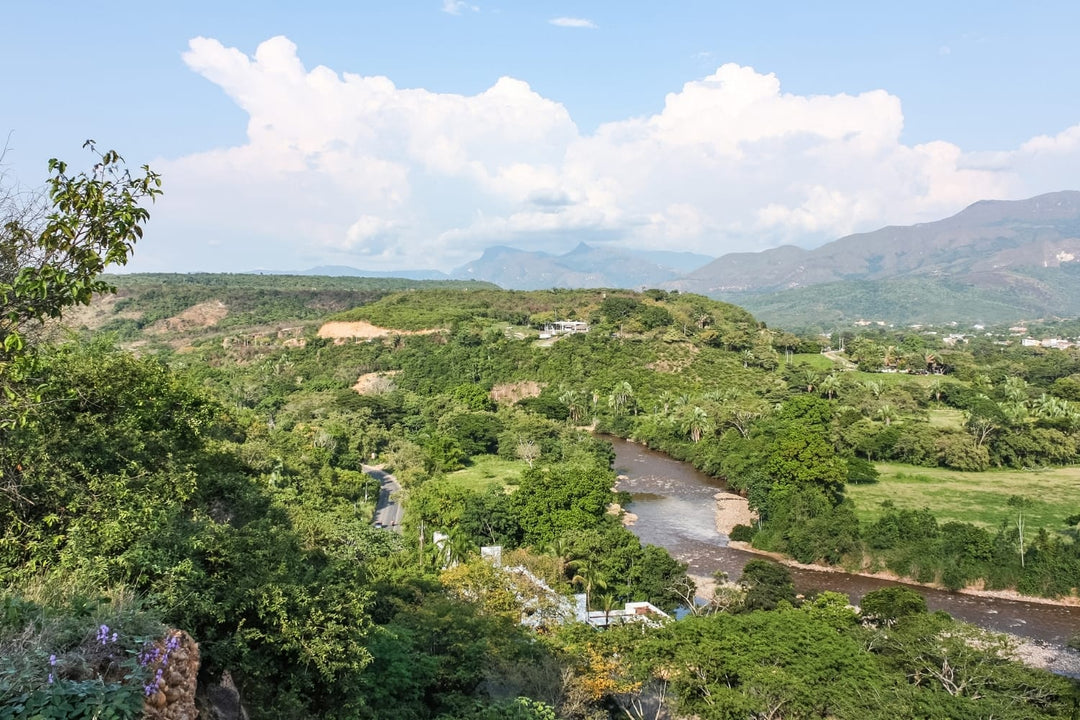 Tolima, Colombia, Fair Trade Organic Coffee