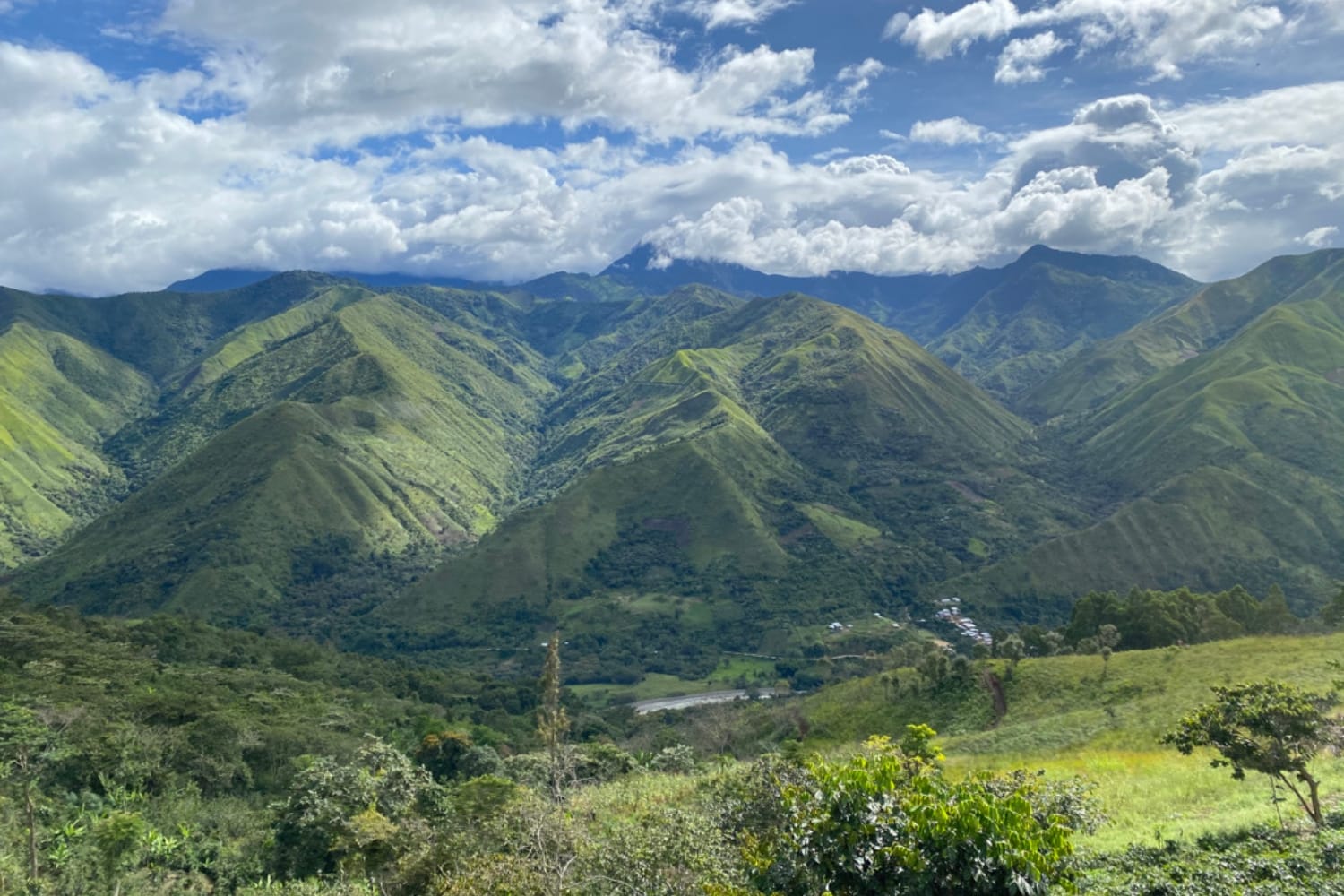 Coffee mountains in Peru