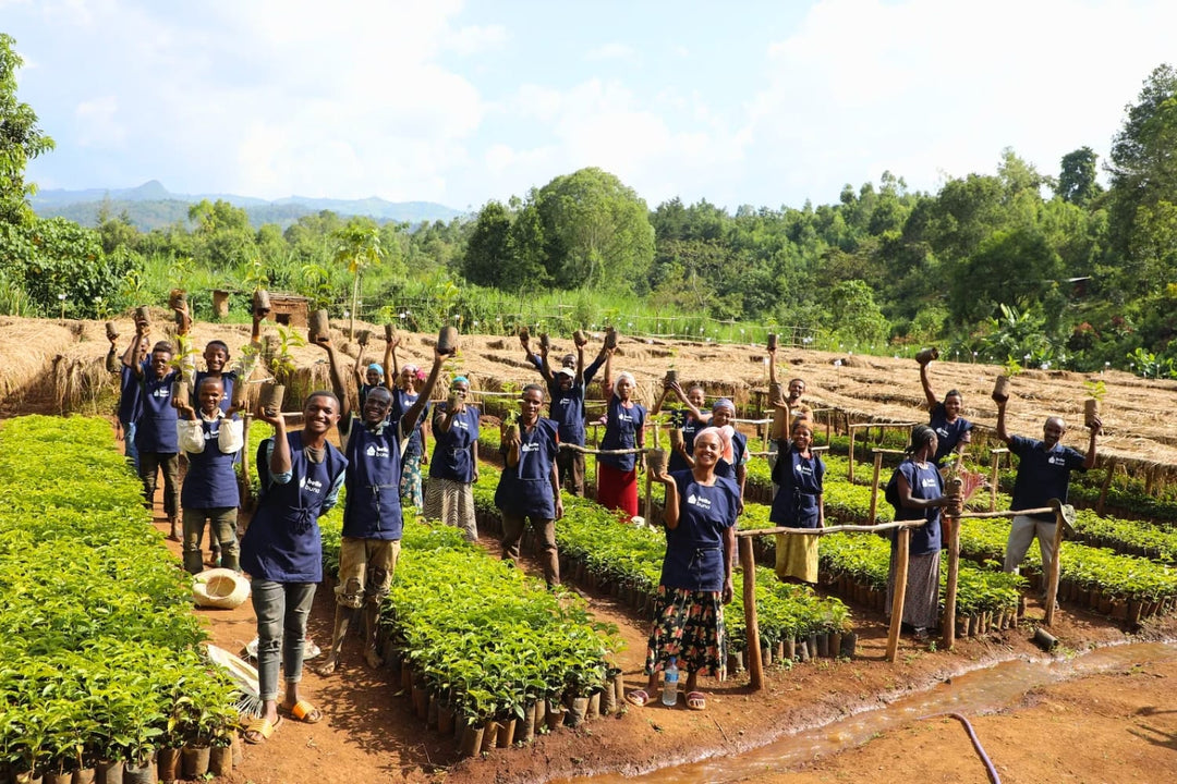 Ethiopia Bette Buna coffee producers