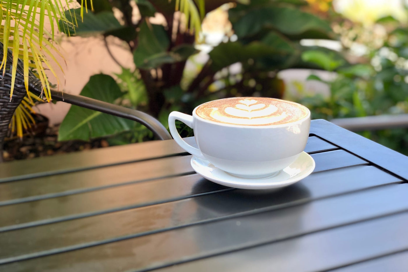 Latte at Kunjani in Naples, FL